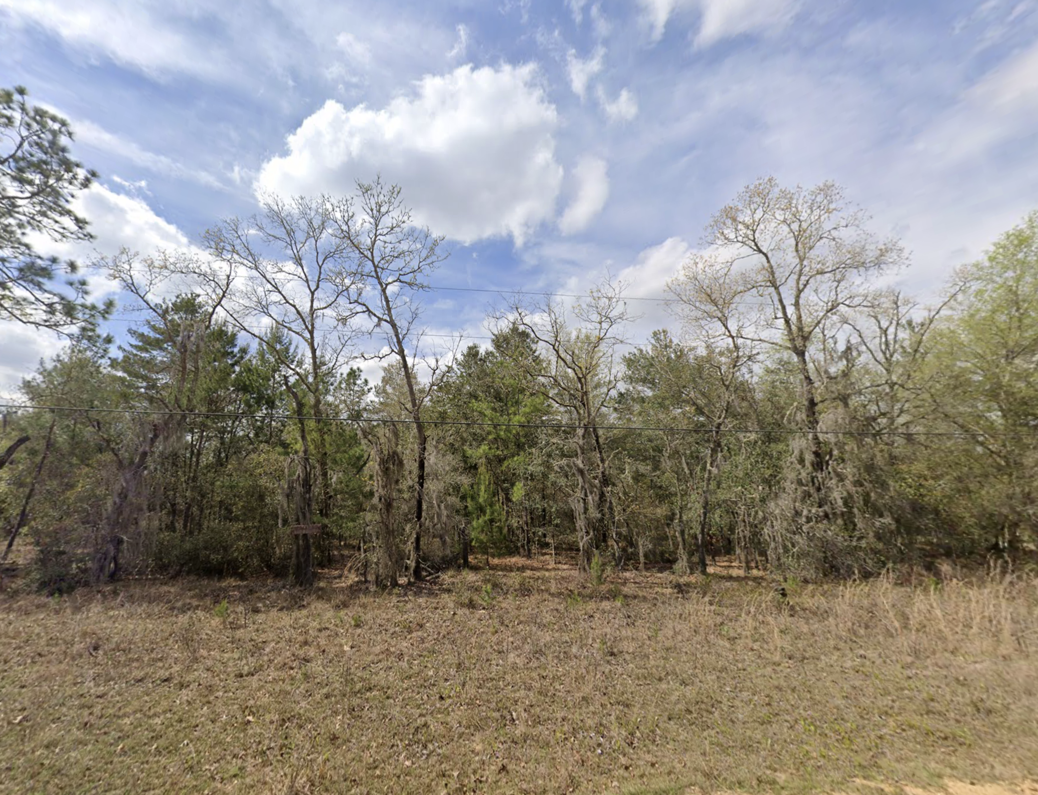 🌴 .22 Acres Florida Sunshine